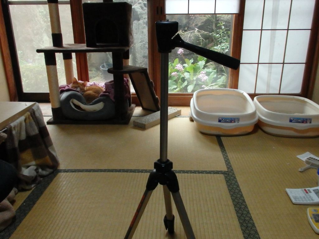 エレベーターで高さを出して不安定な三脚